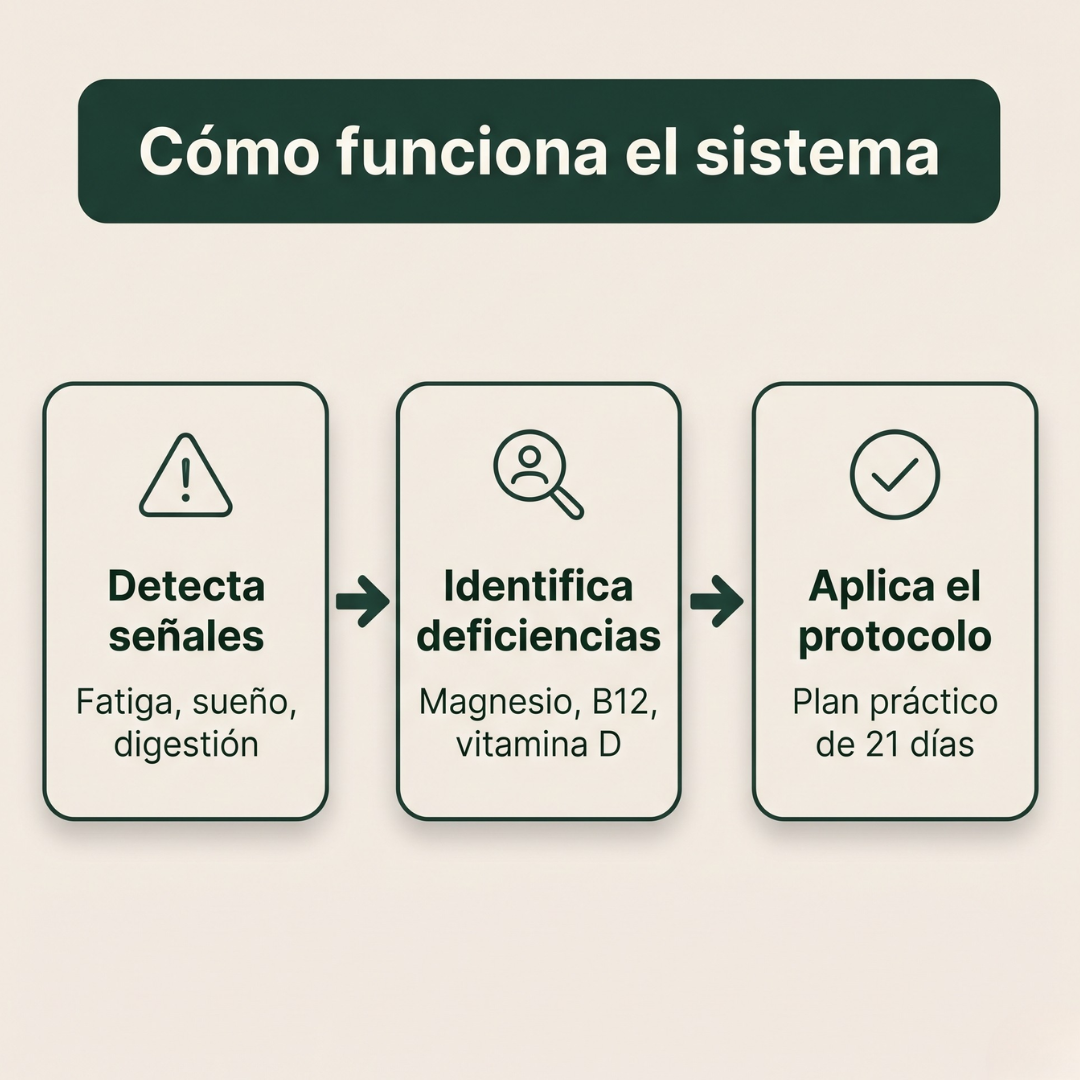 Sistema Metabólico Integral — Recupera energía y equilibrio desde la raíz